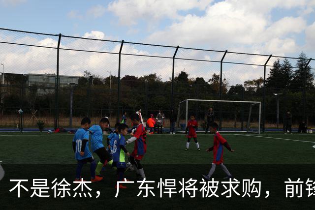 不是徐杰，广东悍将被求购，前锋，杜锋看重，转会费或8位数