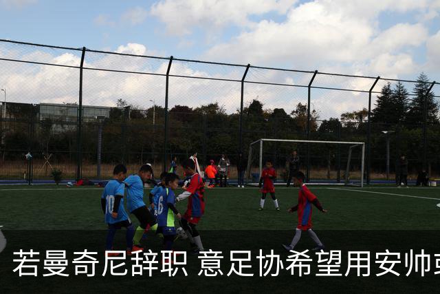 若曼奇尼辞职 意足协希望用安帅或卡纳瓦罗替代